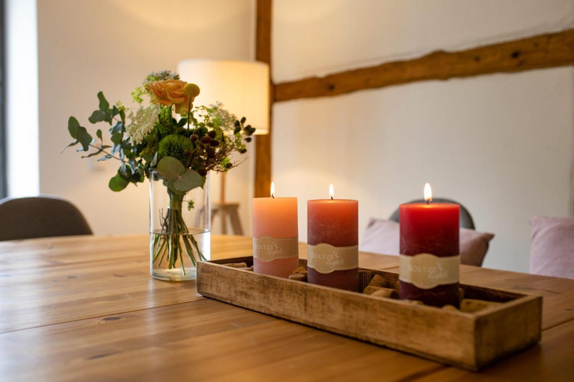 Villa Weingut Haus Steinbach Radebeul Habitación foto